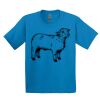 GILDAN® ULTRA COTTON® YOUTH T-SHIRT Thumbnail